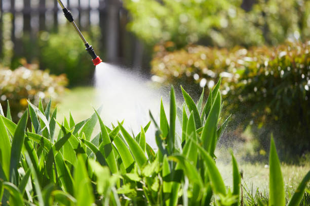 24/7 Emergency Cockroach Control experts in Triana, AL